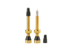 Tubolight GOLD VALVES PAIR (VVGLD)