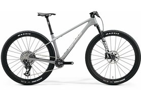 Merida BIG.NINE 10K Cool Grey(Flash Bcp) 2024