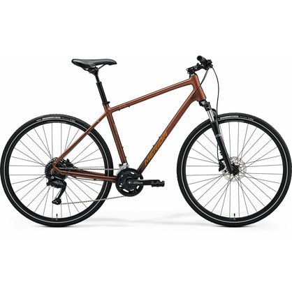 24CT100XS.jpg