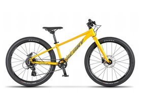 Beany BLASTER XC 20 gold 2024