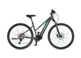 Author Enigma 2025 stříbrná/zelená