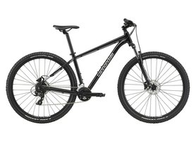 Cannondale TRAIL 8 Grey 2023