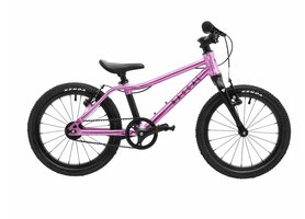 Rascal 16 Raspberry 2024