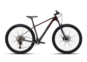 Polygon Syncline C3 brown/charcoal 1x12 2025