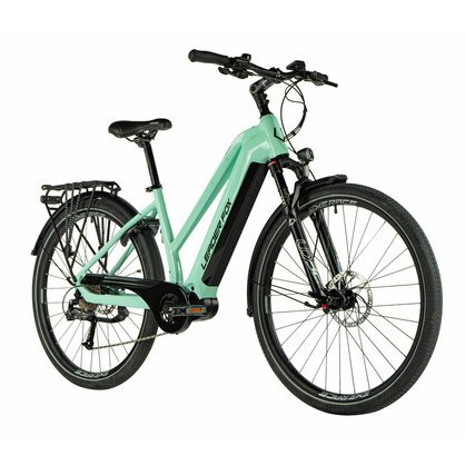 Denver_lady_mint_1 (1).jpg