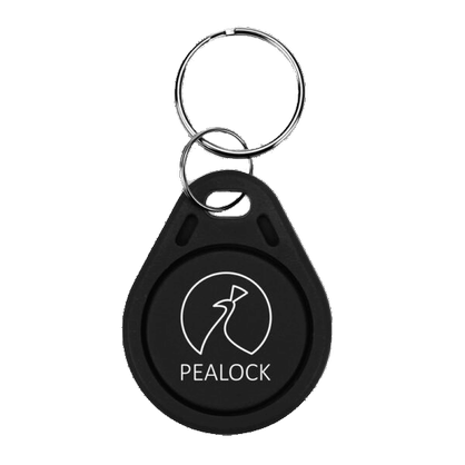 NFC-KEYCHAIN.png
