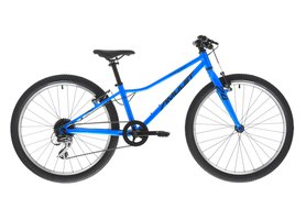 Amulet 24 Tomcat aqua blue/black 2024