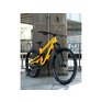 norco-optic-c3-29-golden-larch-yellow.jpg