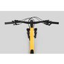 norco-optic-c3-29-yellow_1.jpg